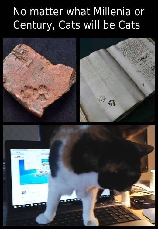 This is a 3-panel collage meme. The top left panel displays an ancient terracotta/clay tile with embedded cat paw prints, dated to thousands of years ago. The top right panel shows an old medieval handwritten manuscript with ink cat paw prints left on its pages. The bottom panel features a modern calico cat standing on the keyboard of an open laptop, interrupting digital work on the device. Text at the very top of the meme reads 'No matter what Millenia or Century, Cats will be Cats', delivering the joke that cats have consistently interrupted human work and creative projects by leaving their paw marks across all of recorded human history.