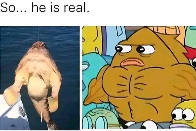A two-panel meme featuring a humorous comparison between a real-life fish and an animated character. The top text reads 'So... he is real.' The left panel shows a real fish with an unusually muscular, humanoid-like torso being held vertically against a blue water background, giving it a striking resemblance to a muscular figure. The right panel is an animated scene depicting a yellow, anthropomorphic fish with exaggerated muscular definition, standing among other animated sea creatures with a serious expression. The meme playfully suggests that the real fish is the 'real-life' version of the animated character.