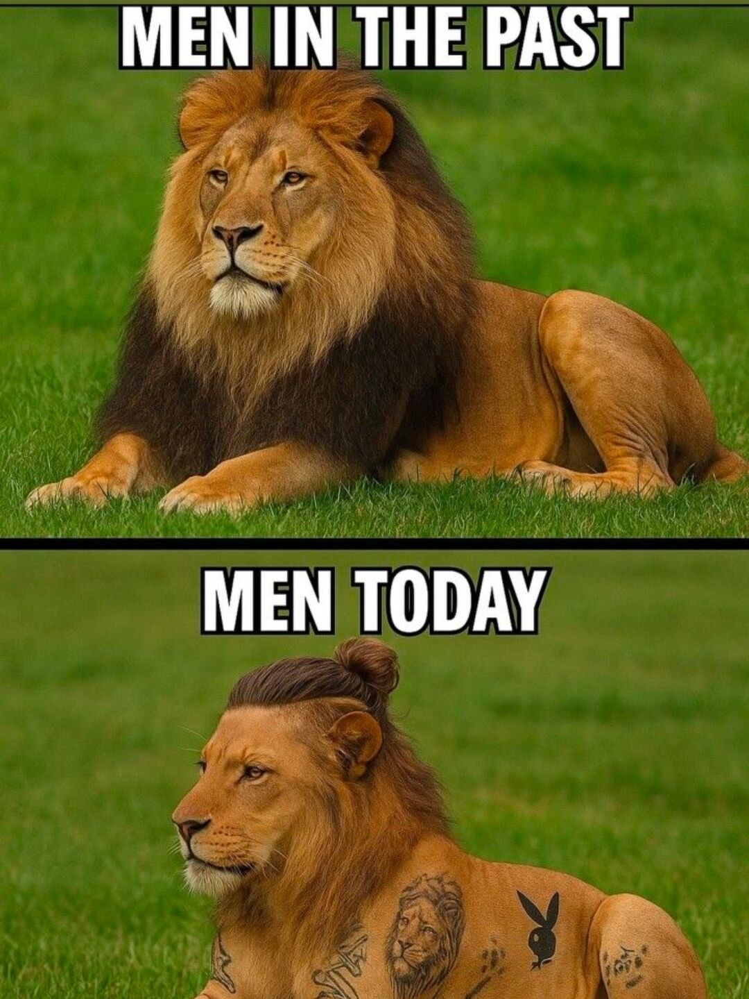 This is a two-panel satirical comparison meme. The top panel features a naturally majestic, unmodified male lion resting on green grass, labeled "MEN IN THE PAST", which plays on the common association of lions with traditional ideals of strong, rugged, unadorned masculinity. The bottom panel shows an edited version of a male lion, modified to have a modern man bun hairstyle and multiple visible tattoos including a lion face tattoo and the Playboy bunny logo, labeled "MEN TODAY". The meme humorously exaggerates perceived generational shifts in masculine grooming, fashion, and self-expression, framing modern trends as a departure from traditional masculine archetypes.