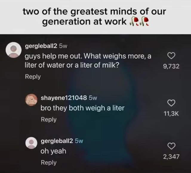 This is a screenshot of a social media comment exchange paired with a sarcastic top caption. The top text reads "two of the greatest minds of our generation at work" next to dead rose emojis, setting a mocking tone. First user gergleball2 asks other users for help determining if a liter of water or a liter of milk weighs more. Second user shayene121048 incorrectly answers that both weigh a liter, confusing liter (a unit of volume) for a unit of weight. The first user then agrees with this wrong answer, creating the joke that both people lack basic knowledge of units of measurement and density. The correct answer is that a liter of milk weighs slightly more, as milk is denser than water.