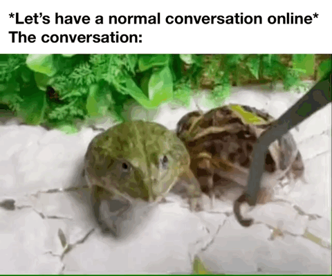 This meme opens with top text setting up an expectation of a civil, normal online discussion. Below the text is a photograph of a grumpy-looking Budgett's frog facing directly at the viewer, positioned next to a turtle that is being poked with a pair of metal tweezers. The joke satirizes the common real-life experience that attempts to have calm, reasonable conversations on social media or other online platforms almost always devolve into strange, hostile, or absurd interactions, represented by the bizarre, unexpected scene with the two animals.