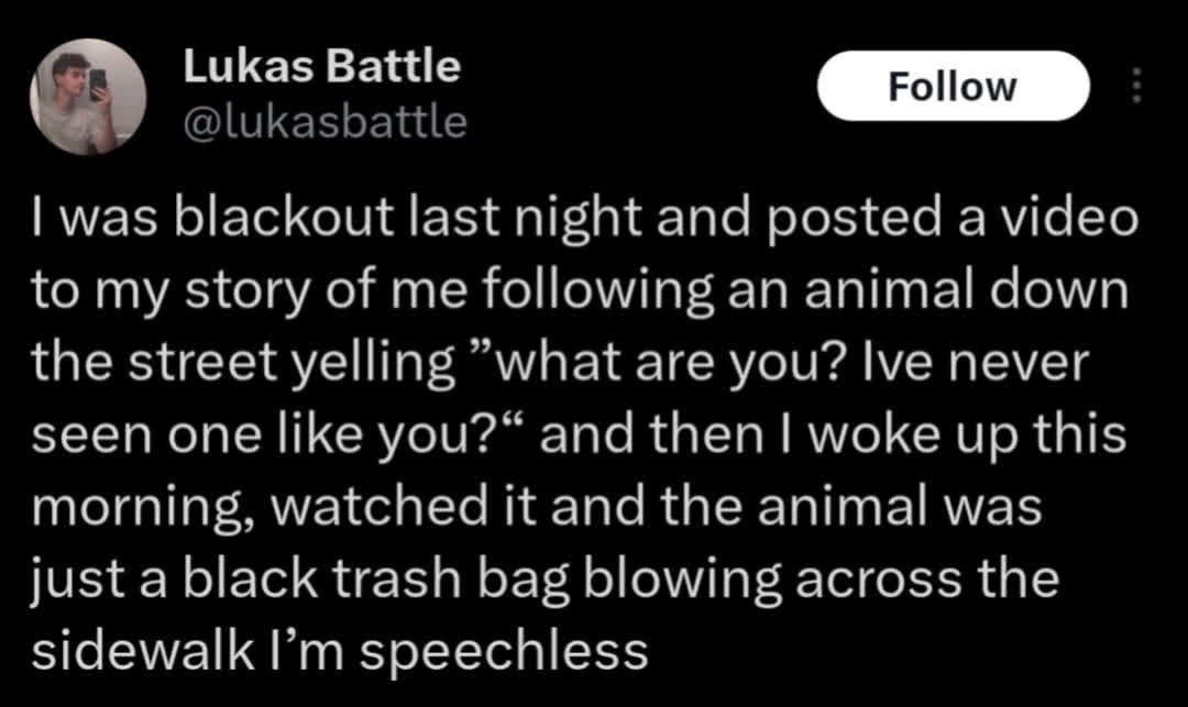 This image is a screenshot of a public post from the X (formerly Twitter) platform, shared by user Lukas Battle. The post details the user's embarrassing and absurd drunk mishap: after getting blackout drunk the previous night, he posted a story video showing himself following what he believed was an unidentified strange animal down a street, repeatedly yelling 'what are you? I've never seen one like you?' at the object. When he woke up the next morning and rewatched the recorded story, he realized the supposed 'animal' was actually just a black trash bag being blown across the sidewalk by wind, leaving him too embarrassed to speak. The humor derives from the relatable awkwardness of regrettable drunk actions and the ridiculousness of the misidentification.