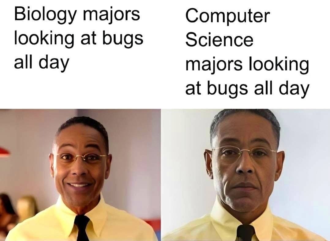 This is a two-panel comparative meme utilizing the widely popular Gus Fring (from the Breaking Bad franchise) happy vs serious reaction template. The left panel is labeled 'Biology majors looking at bugs all day', paired with the character's cheerful, smiling expression, referencing that biology students study real insect bugs which are generally interesting and enjoyable for them. The right panel is labeled 'Computer Science majors looking at bugs all day', paired with the character's deadpan, unamused, serious expression, referencing that 'bugs' for computer science students refer to frustrating software glitches and coding errors that require tedious fixing. The core joke relies on the double meaning of the word 'bugs' in English.