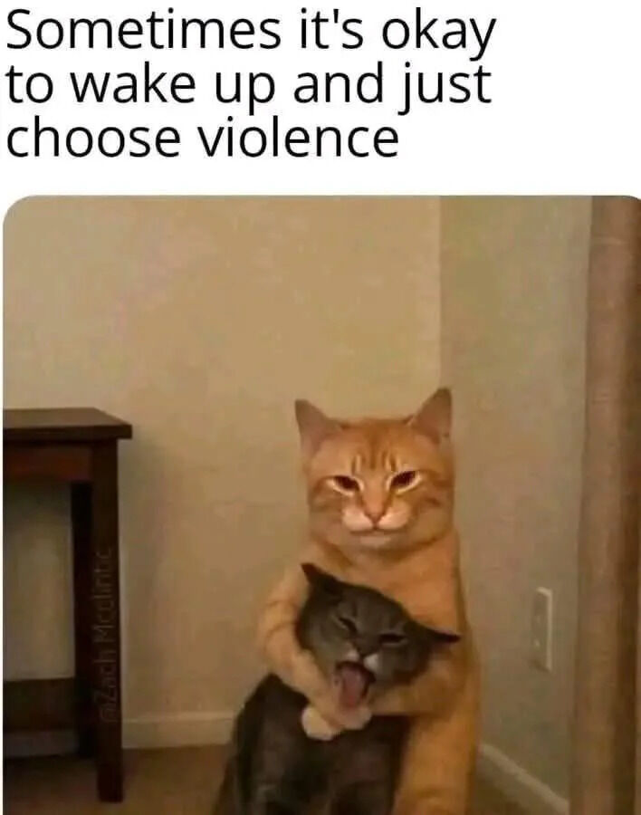 A meme featuring a top text 'Sometimes it's okay to wake up and just choose violence' above a photograph of two cats. An orange cat stands behind a gray cat, with its front paws wrapped around the gray cat's neck, creating a humorous 'violent' scenario. The gray cat appears distressed with its mouth open, possibly meowing or reacting to the orange cat's action. The background shows an indoor setting with beige walls and a wooden table on the left side.