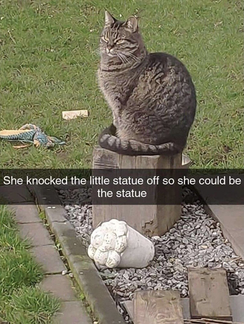 The image shows a humorous candid garden scene. A plump tabby cat sits perfectly still and upright on a small wooden garden pedestal, with a smug, self-satisfied half-lidded expression as if it is a decorative statue. Below the pedestal, a small white decorative statue is toppled over onto a bed of grey gravel. Overlaid text explains that the cat knocked the original statue off the pedestal so it could take its place as the statue. A grass lawn, a discarded cat toy, and paved garden paths are visible in the surrounding area.