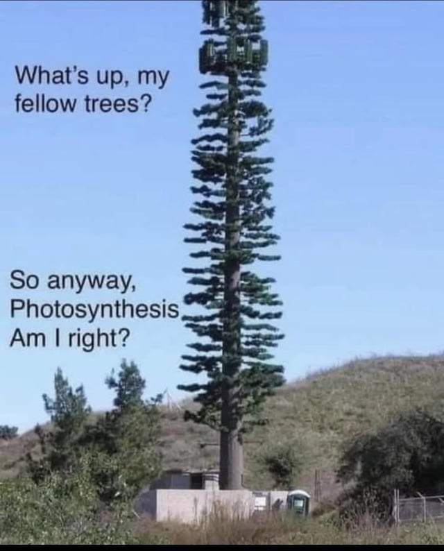 This meme features a real photograph of a cellular tower that is poorly disguised to look like an oversized pine tree, placed in a rural hilly area next to much smaller, real pine trees. Text on the left of the image is written as if the disguised tower is speaking, first greeting the surrounding trees with "What's up, my fellow trees?" then awkwardly trying to fit in by referencing a core tree function: "So anyway, Photosynthesis Am I right?". The joke parodies the common "fellow kids" meme format, mocking how obvious and unconvincing these intentionally disguised cell towers are, as they fail to blend in with real natural foliage.