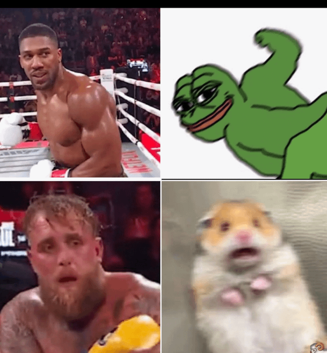A 2x2 collage meme featuring four distinct images: Top-left shows a muscular boxer sitting confidently in a boxing ring with a focused expression; Top-right is the meme character Pepe the Frog, depicted as a green figure flexing its arm with a smug grin; Bottom-left presents another boxer with a shocked, open-mouthed expression, appearing startled; Bottom-right is a close-up of a hamster with its mouth agape, looking surprised. The collage likely aims to create a humorous or satisfying contrast between the different expressions and subjects.
