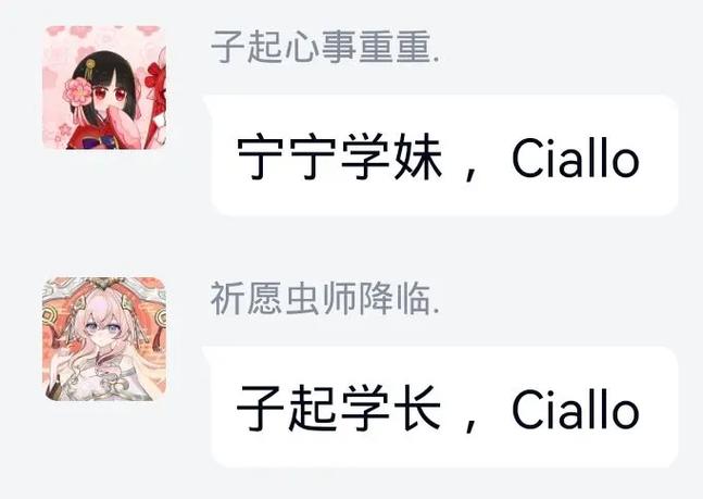 This meme presents a friendly chat interaction between two users using character avatars from the Yuzusoft visual novel *Senren Banka (千恋*万花)*. The first user, with an avatar of Yamato Akari (宁宁), greets the second user (avatar of Murasame) with '宁宁学妹，Ciallo', and the second user replies with '子起学长，Ciallo'. The term 'Ciallo' is a beloved ACG catchphrase originating from Yuzusoft's *The Witch's Banquet*, blending 'Ciao' and 'Hello' with a cute emoticon, which has become a popular greeting in Chinese and global ACG communities, even gaining traction due to its similarity to the Jiangxi dialect phrase for 'have you eaten?'. The meme's wholesome tone and use of familiar characters make it relatable for fans of Yuzusoft's works.