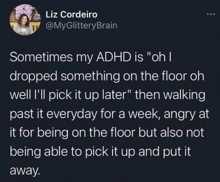 This image is a screenshot of a public post from the X (formerly Twitter) platform. The post is written by user Liz Cordeiro, whose profile picture (showing her smiling while holding a white cup, seated outside near purple flowering plants) is visible at the top left. The text of the post humorously recounts a common, relatable experience for people with ADHD: when an individual drops an item on the floor, initially plans to pick it up later, then proceeds to walk past the item every single day for a full week, feeling frustrated and angry that the item is still on the floor, while simultaneously lacking the motivation or executive function to pick the item up and put it away properly. The joke resonates with many neurodivergent people who experience executive dysfunction symptoms related to ADHD.