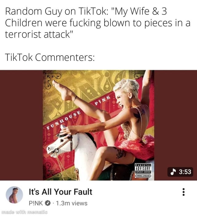This meme uses dark, sarcastic humor to critique the pervasive issue of victim-blaming in online comment sections. The top text establishes a devastating, real-world tragedy: a TikTok user sharing that his family was killed in a terrorist attack. The bottom section juxtaposes this with a fake TikTok-style post featuring P!nk's *Funhouse* album cover, paired with the title of her song "It's All Your Fault"—framing this as the cruel, inappropriate response from TikTok commenters. The joke relies on the dark irony of taking a song title out of context to represent the absurdly insensitive victim-blaming that can occur in online spaces.