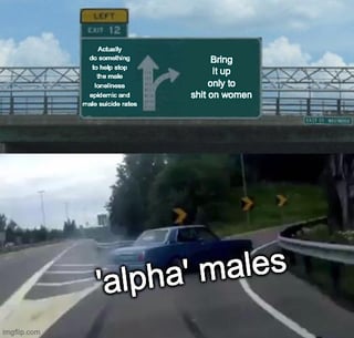 This is an edited version of the popular highway car swerve meme format. A road sign above a highway presents two path options: the straight-ahead path is labeled "Actually do something to help stop the male loneliness epidemic and male suicide rates", while the right off-ramp is labeled "Bring it up only to shit on women". A car sharply swerving to take the right exit is labeled "'alpha' males", satirizing how self-identified alpha males and misogynistic groups frequently reference the male loneliness epidemic and high male suicide rates in bad faith, not to push for solutions to these issues, but as an excuse to attack women in arguments.