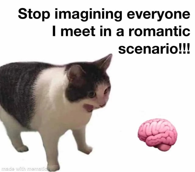 This is a relatable internet meme that jokes about the common overactive imagination habit where the poster automatically imagines every new person they meet in a romantic scenario. The meme uses an edited black-and-white cat (the popular coughing cat meme template edited to have a human-like mouth/expression) shown shouting at a graphic of a human brain, representing the poster's own brain that keeps doing this unwanted daydreaming. The top text is the cat's line telling the brain to stop this habit.