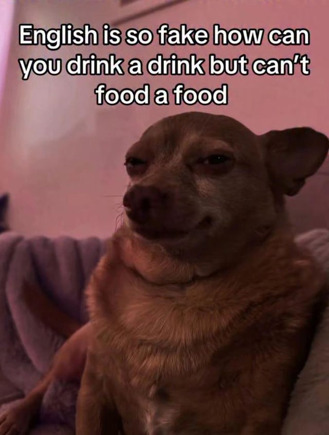 A meme featuring a small brown dog, likely a Chihuahua, sitting on a couch with a purple blanket against a soft pinkish wall. The dog has a skeptical expression with half-lidded eyes, giving a confused or amused look. Prominently displayed above the dog is white text with a black outline that reads: 'English is so fake how can you drink a drink but can’t food a food'. The humor stems from pointing out the inconsistent verb-noun usage in English, where 'drink' functions as both a verb and noun, while 'food' cannot be used as a verb in the same construction.