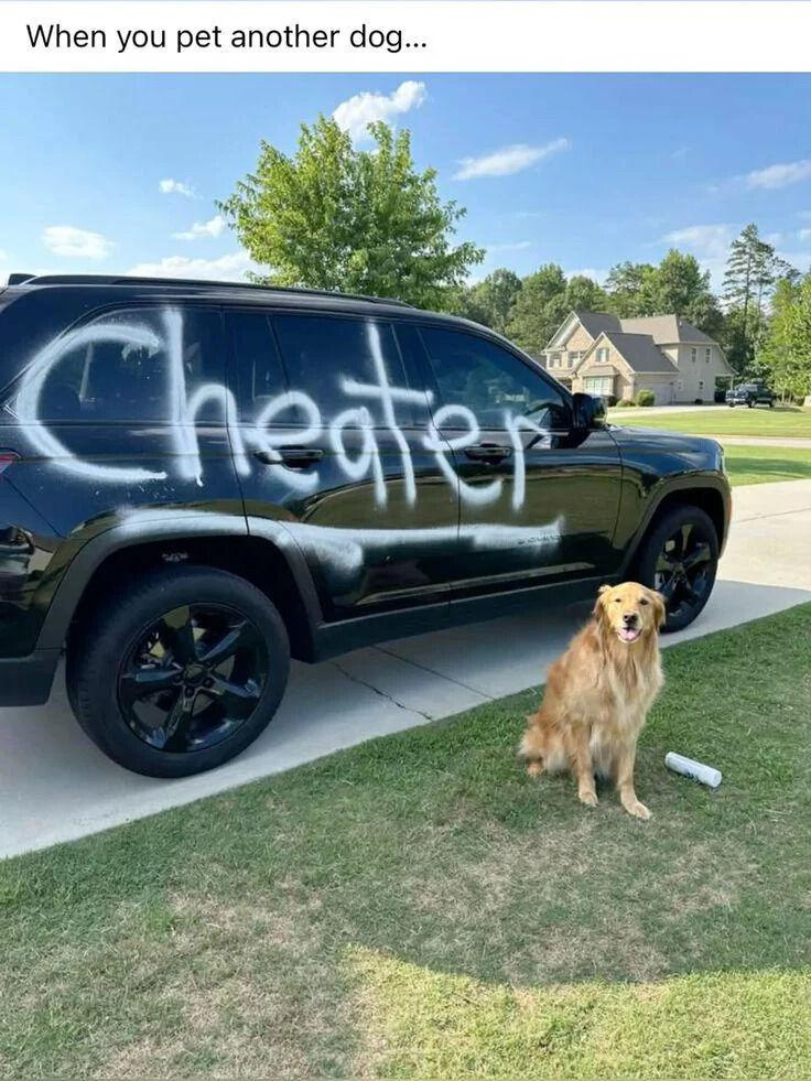 This humorous meme depicts a real golden retriever sitting on a suburban front lawn next to a black SUV. The word 'Cheater' is spray-painted in white across the SUV's side doors, and an empty white spray paint can sits on the grass right next to the dog. The top text reads 'When you pet another dog...', framing the scene as the jealous dog getting revenge on its owner for giving attention to another dog. The joke anthropomorphizes the dog, acting like a jealous romantic partner caught their owner cheating, and the dog's innocent happy expression adds to the comedic effect.