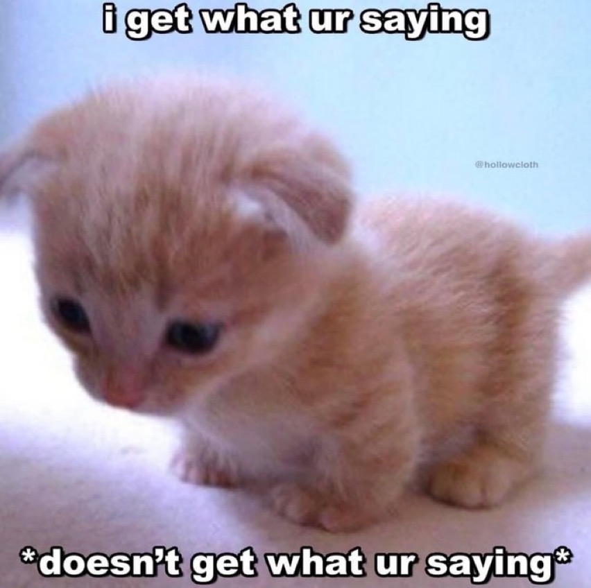 The meme features a photograph of a very small, fluffy orange kitten with large dark eyes and floppy ears, standing on a light surface against a pale blue background, looking down with a dazed, blank expression. Bold white text with black outline appears at the top of the image reading 'i get what ur saying', while identical style text at the bottom reads '*doesn't get what ur saying*'. The joke highlights the common relatable experience of pretending to follow what someone is saying when you actually have no understanding of the topic or conversation.