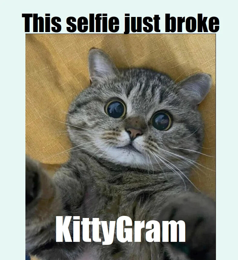 A wholesome meme featuring a gray tabby cat with large, expressive round eyes lying on a yellow textured surface. The cat is positioned as if taking a selfie, with its front paws raised slightly, mimicking the action of holding a camera or phone. The top text reads 'This selfie just broke' and the bottom text 'KittyGram', a playful pun on 'Instagram' (replacing 'Insta' with 'Kitty' to reference cats). The cat's wide-eyed, innocent expression enhances the lighthearted and funny tone, making the meme feel warm and uplifting.