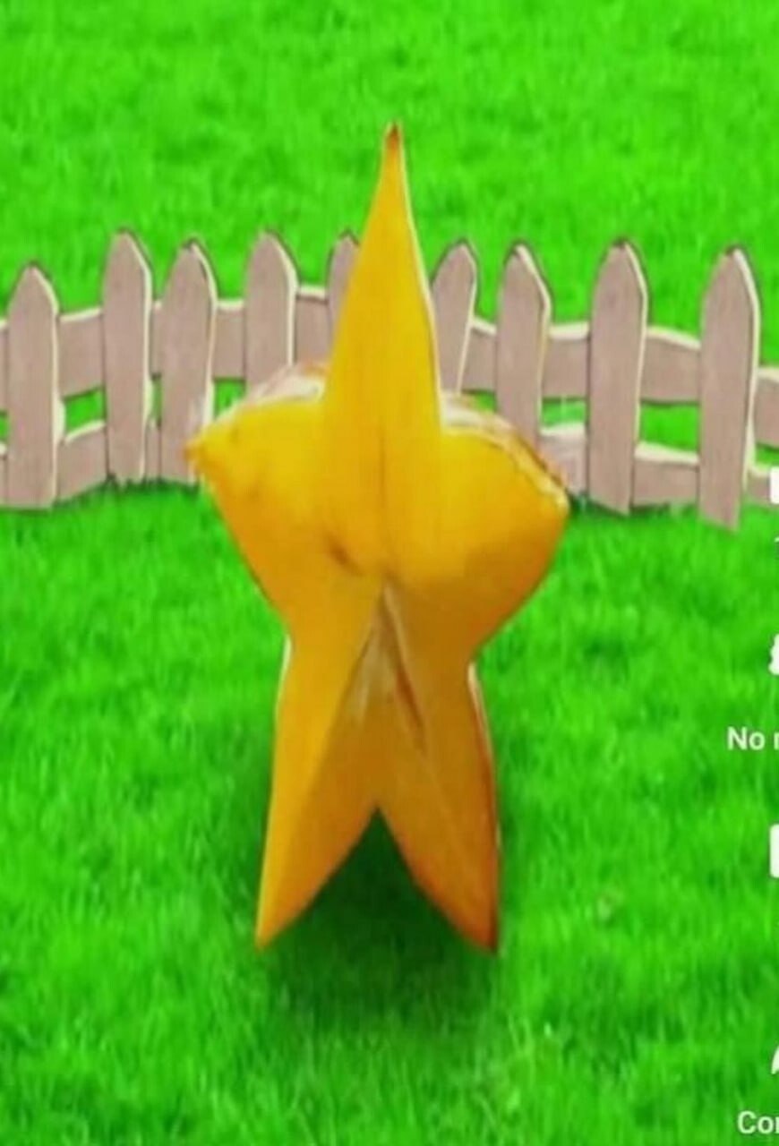 This humorous meme recreates the Starfruit (Starcannon) plant from the *Plants vs Zombies* game using real life objects. A sliced piece of starfruit (carambola), which naturally has the exact 5-pointed star shape of the in-game plant, is placed upright on bright green artificial turf, with a small white picket fence in the background that mimics the lawn level setting from the game. The visual joke comes from how perfectly the real fruit matches the appearance of the fictional game plant, making it look like a realistic, real-world version of the in-game asset.