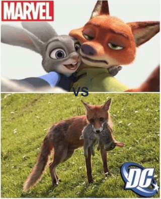 This is a two-panel comparison meme contrasting the typical tonal differences between Marvel and DC media franchises. The top panel is labeled with the Marvel logo, featuring animated characters Judy Hopps (rabbit) and Nick Wilde (fox) from Disney's Zootopia in an affectionate, lighthearted interaction where Judy is happily hugging Nick, representing Marvel's generally family-friendly, hopeful, upbeat tone. The bottom panel is labeled with the DC logo, showing a real-life wild fox carrying a dead rabbit in its mouth while standing on grass, representing the common perception of DC's darker, grittier, more violent and mature thematic style. The joke plays on the widely recognized contrast between the two superhero media giants, using the parallel of fox and rabbit pairs in drastically different contexts to illustrate the tonal difference.