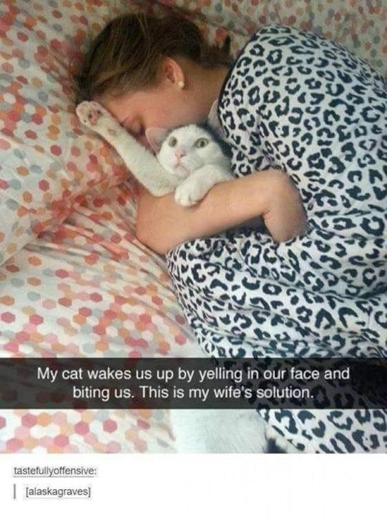 A photograph of a woman sleeping in bed wearing leopard print pajamas, hugging a white cat under her arm. The cat has an alert expression while the woman appears to be sleeping peacefully. Below the image is text explaining that their cat wakes them up by yelling and biting, and this is his wife's solution to the problem.