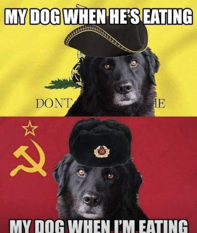 A two-panel meme featuring a black dog with a white muzzle. The top panel has a yellow background with partial visible text 'DONT' and 'ME'; the dog wears a black hat with gold trim. The text above reads 'MY DOG WHEN HE'S EATING'. The bottom panel has a red background with a hammer and sickle symbol and a star; the dog wears a black hat with a red star emblem. The text below reads 'MY DOG WHEN I'M EATING'. The meme humorously compares the dog's demeanor when eating itself versus when the owner is eating, using contrasting backgrounds (yellow vs. red with communist symbols) and hats to imply different attitudes.