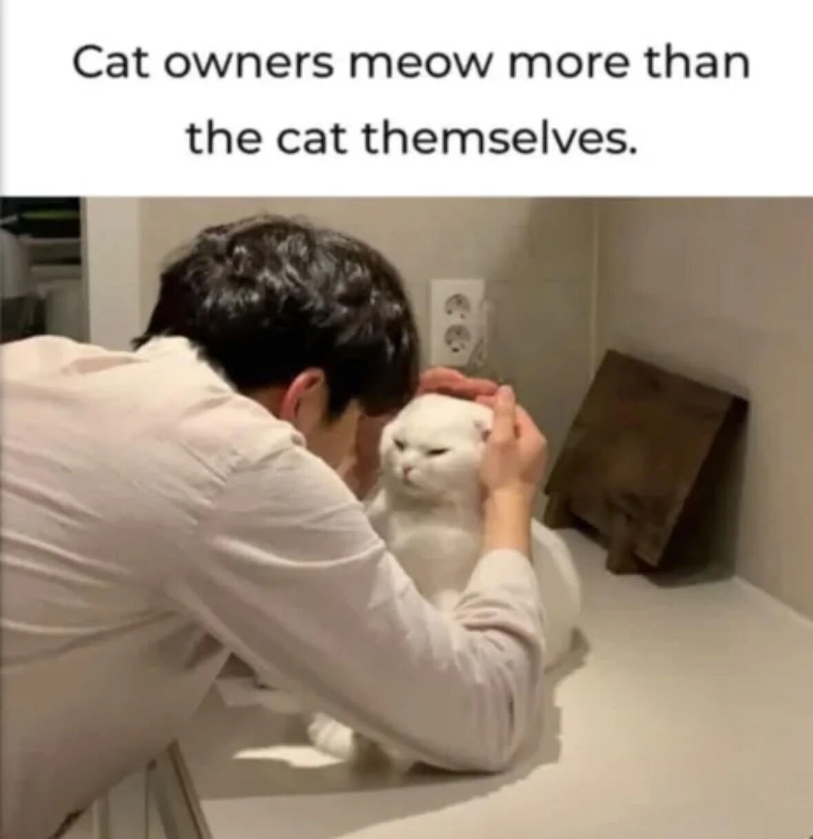 The meme features a text header at the top that reads "Cat owners meow more than the cat themselves." Below the text is a candid photograph of a dark-haired man in a light colored shirt leaning over a light colored counter, holding the face of a plump white cat with both hands, as if about to communicate with the cat using cat-like sounds. The white cat has a grumpy, unamused expression, sitting still on the counter while the owner interacts with it. The image perfectly illustrates the relatable humorous observation that cat owners often mimic their cats' vocalizations more frequently than the cats actually meow themselves.