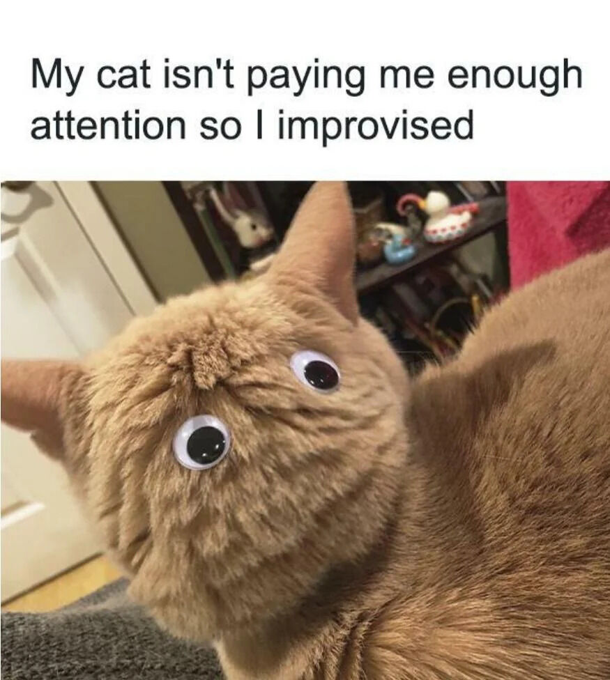 A humorous meme consisting of a top text overlay and a photograph. The text reads: 'My cat isn't paying me enough attention so I improvised'. Below the text is an image of an orange tabby cat with large, round googly eyes edited onto its face, giving it an exaggeratedly surprised and wide-eyed expression. The cat's head is tilted upwards, and the background shows a domestic setting with a shelf containing small toys and figurines, adding to the casual, homey atmosphere. The humor stems from the relatable scenario of a pet owner seeking attention from their cat and the silly, creative solution of adding googly eyes to the cat's photo to evoke a playful reaction.