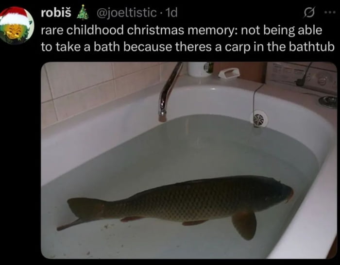 A meme featuring a social media post (resembling a tweet) from user 'robiš @joeltistic' with the text: 'rare childhood christmas memory: not being able to take a bath because theres a carp in the bathtub'. Below the text is a photograph of a white bathtub filled with water, containing a large carp swimming in it. The post humorously recounts an unusual childhood Christmas memory involving a carp in the bathtub preventing the user from bathing.