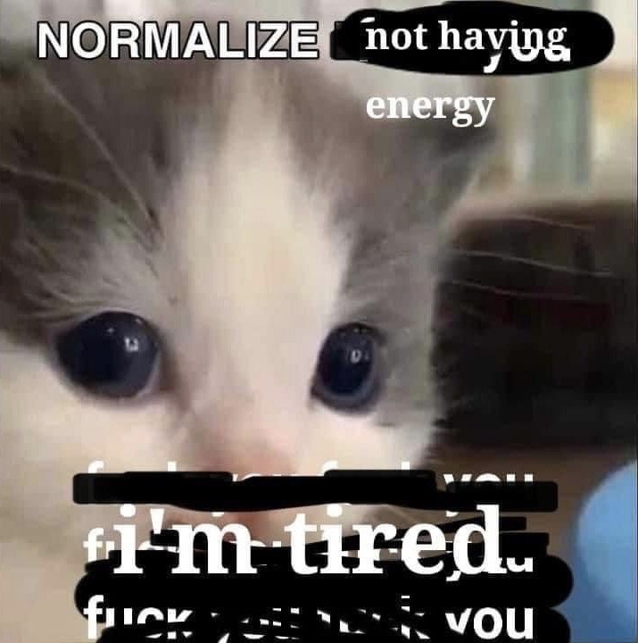 The meme features a close-up shot of a wide-eyed grey and white cat with a blank, exhausted expression facing the viewer. Overlaid text has multiple phrases crossed out, leaving the legible message 'NORMALIZE not having energy' at the top and 'i'm tired' at the bottom, communicating a relatable sentiment of chronic exhaustion and advocating for normalizing low energy levels without needing to justify being tired to other people.
