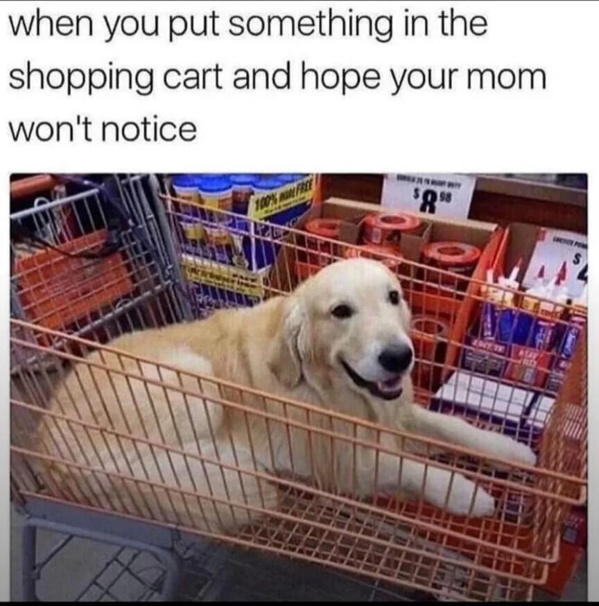 A meme featuring a golden retriever dog lying comfortably in a shopping cart filled with various grocery items, including boxes and cans. The top text reads 'when you put something in the shopping cart and hope your mom won't notice,' creating a humorous and relatable analogy between the dog playfully hiding in the cart and a child trying to sneak an item past their parent during shopping. The dog has a happy, smiling expression with its tongue slightly out, enhancing the wholesome and lighthearted tone of the meme.
