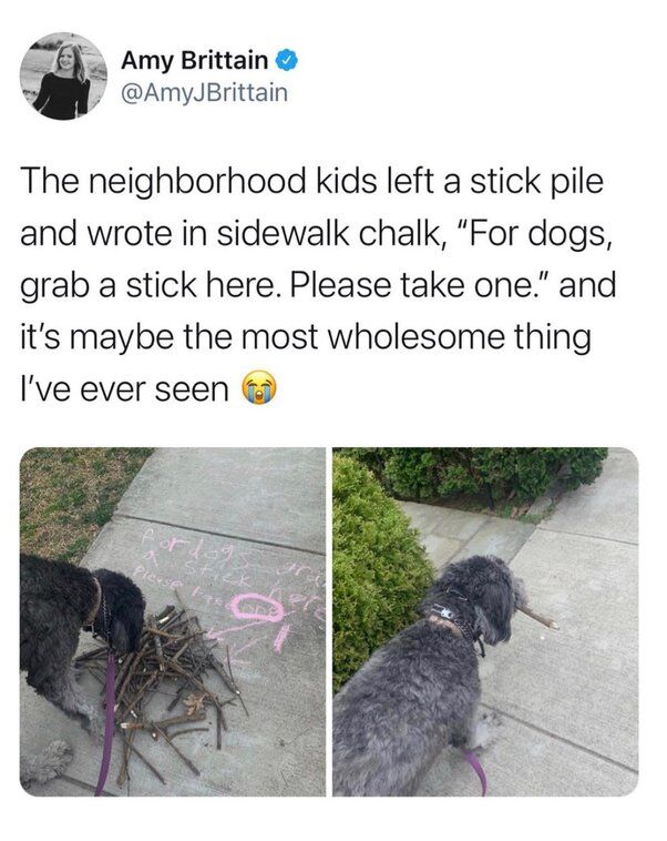 This is a screenshot of a post from X (formerly Twitter) by verified user Amy Brittain. The post text explains that local children left a pile of sticks on a sidewalk with a pink chalk message that reads "For dogs, grab a stick here. Please take one.", which the poster describes as one of the most wholesome things they have ever seen, paired with a happy crying emoji. Below the post text are two side-by-side photos: the left photo shows a grey dog on a purple leash sniffing the pile of sticks next to the chalk writing on the concrete, and the right photo shows the same dog holding one of the sticks from the pile in its mouth as it stands on the sidewalk next to green bushes.