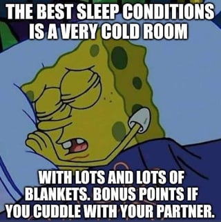 This meme uses a still frame of SpongeBob SquarePants looking cozy and content, wrapped tightly in a dark blanket, to humorously share a widely relatable preference for ideal sleep conditions. The text overlays state that the best sleep setup is a very cold room paired with plenty of blankets, with an added bonus of cuddling with a partner. SpongeBob's relaxed, sleepy expression perfectly complements the comforting, relatable topic of cozy, perfect sleep setups, making the meme feel warm and relatable to anyone who enjoys this specific sleep style.