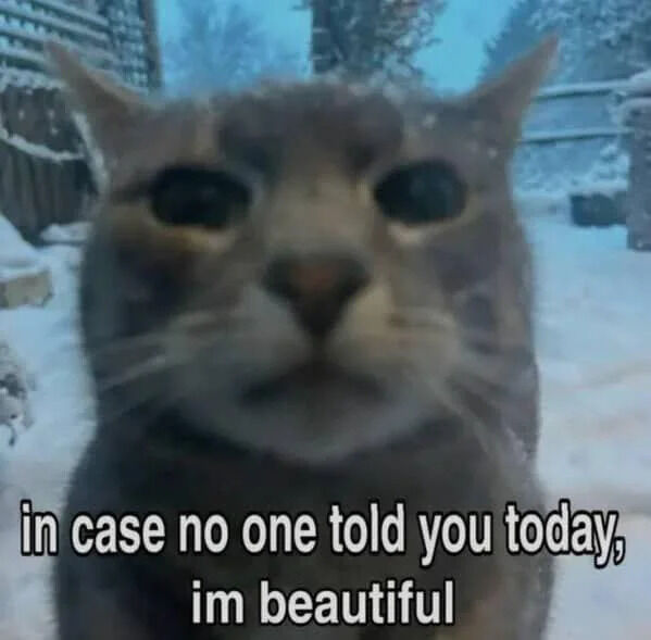 A close-up photograph of a gray tabby cat standing in a snowy outdoor environment. The cat has a neutral expression with direct eye contact, and its fur appears slightly dusted with snow. Overlaid text at the bottom of the image reads: 'in case no one told you today, im beautiful' (with a typo where 'I'm' is written as 'im'). The scene conveys a humorous and wholesome tone as the cat playfully asserts its own beauty, creating a lighthearted and uplifting message.