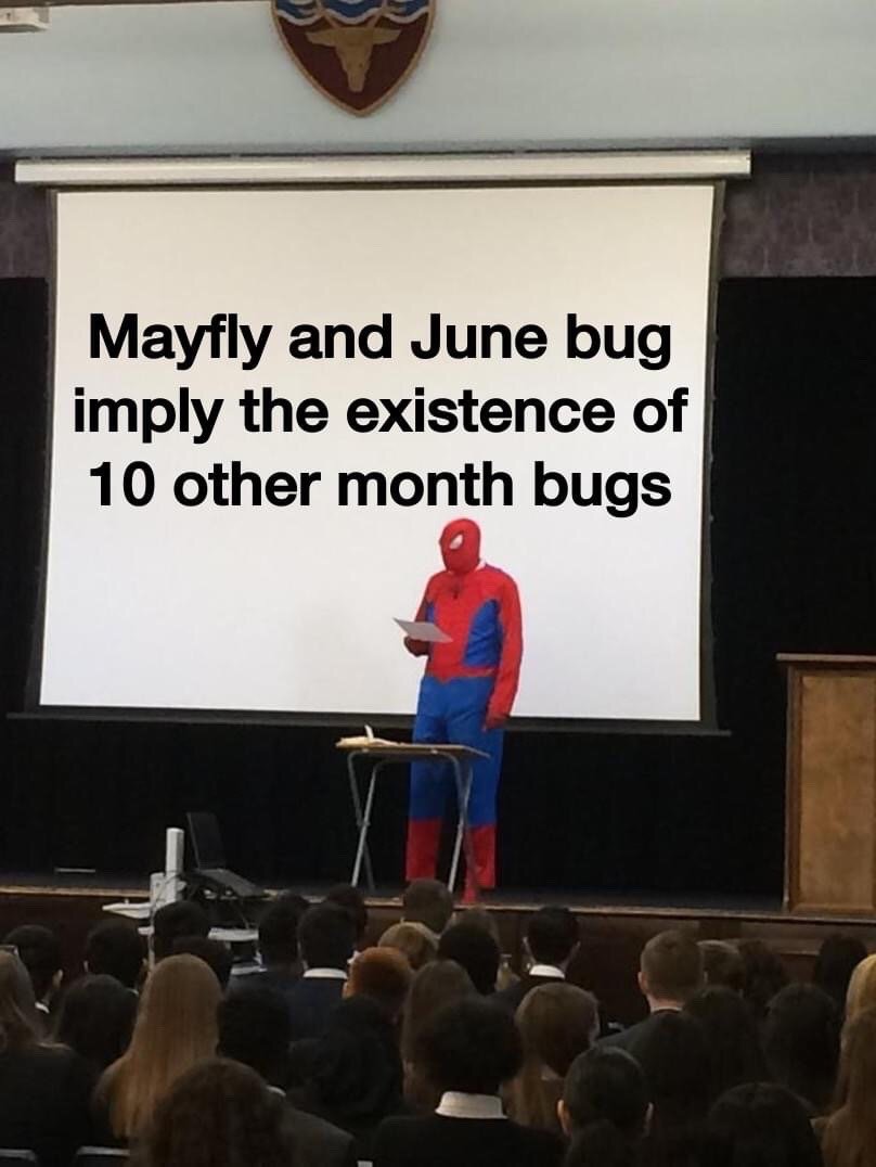 The meme features a person dressed in a Spider-Man costume standing on an auditorium stage, delivering a presentation to an audience of seated students. A projection screen behind him displays the text: 'Mayfly and June bug imply the existence of 10 other month bugs'. The joke relies on wordplay: mayflies are named for the month of May, and June bugs for the month of June, so the meme humorously and illogically extrapolates that there must be equivalent named bug species for the remaining 10 months of the year, framed as a serious academic presentation via the Spider-Man presentation format.