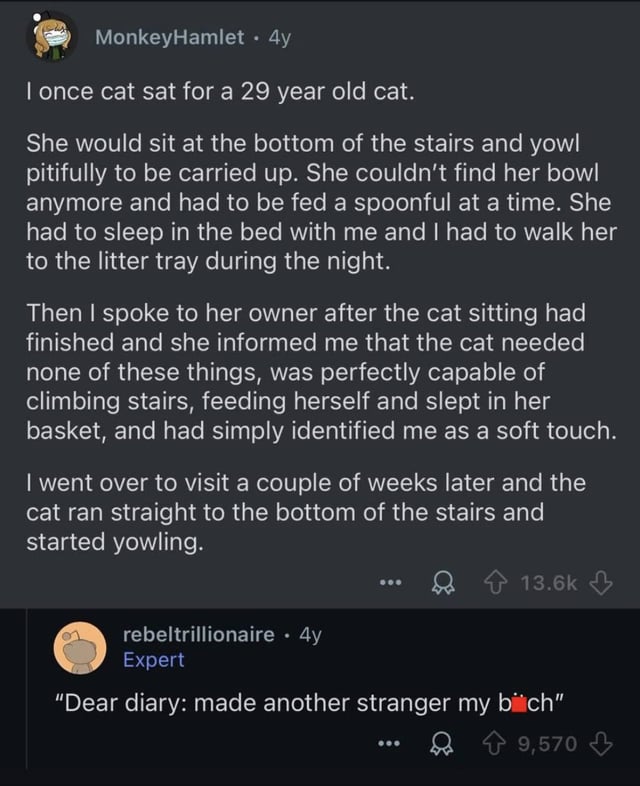 A screenshot of a Reddit thread featuring a humorous personal anecdote by user 'MonkeyHamlet' (posted 4 years ago) about cat sitting a 29-year-old cat. The post details the cat appearing severely helpless—needing to be carried up stairs, fed by spoon, slept with, and escorted to the litter tray—only for the owner to reveal the cat was fully capable and had intentionally manipulated the sitter (labeled a 'soft touch'). A follow-up visit confirmed the cat resumed the act. Below the post, user 'rebeltrillionaire' (with an 'Expert' flair, posted 4 years ago) comments with a sarcastic imaginary diary entry from the cat: 'Dear diary: made another stranger my bitch,' which received 9.5k upvotes. The original post has 13.6k upvotes, highlighting its popularity.