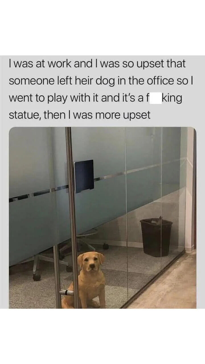 A meme featuring a text overlay and a photograph. The text recounts a workplace anecdote where the author was initially upset about someone leaving a dog in the office, went to play with it, and was more upset upon realizing it was a statue. Below the text is a photograph of a golden retriever sitting calmly behind a glass partition in an office, appearing so still that it resembles a statue. The office background includes a trash can and office chairs.