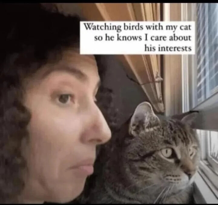 A heartwarming image depicting a person with curly hair and a tabby cat sitting closely together by a window, both gazing outside. The cat is positioned to the right of the person, with its ears perked up, appearing alert and focused on something outside, likely birds. The person has a neutral, focused expression, mirroring the cat's attention. At the top of the image, there is a white text overlay that reads: 'Watching birds with my cat so he knows I care about his interests.' The scene conveys a tender and humorous moment of bonding, where the human intentionally engages with the cat's natural curiosity to express care.