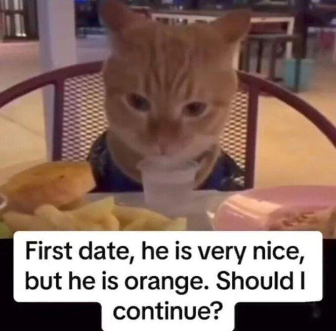The image features a real orange tabby cat sitting upright in a mesh patio chair at an outdoor table, wearing a dark patterned shirt and drinking from a clear plastic cup, as if it is a person on a date. Food items, including what appears to be french fries, are placed on the table in front of the cat. A text caption below the photo reads "First date, he is very nice, but he is orange. Should I continue?". The humor relies on the widespread internet stereotype that orange cats are inherently chaotic, silly, or prone to ridiculous, unpredictable behavior, framing this as a potential downside to dating the otherwise nice cat.