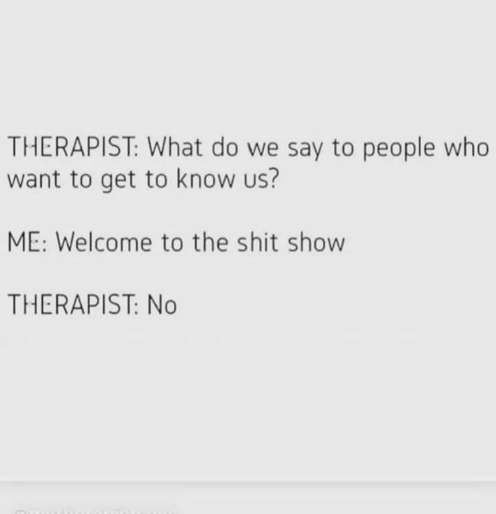 A text-based meme with a plain gray background displaying a conversation between a therapist and 'ME'. The therapist initiates with 'What do we say to people who want to get to know us?' ME responds sarcastically with 'Welcome to the shit show,' and the therapist replies 'No.' The humor arises from the contrast between the therapist's expected positive answer and ME's self-deprecating, cynical response.