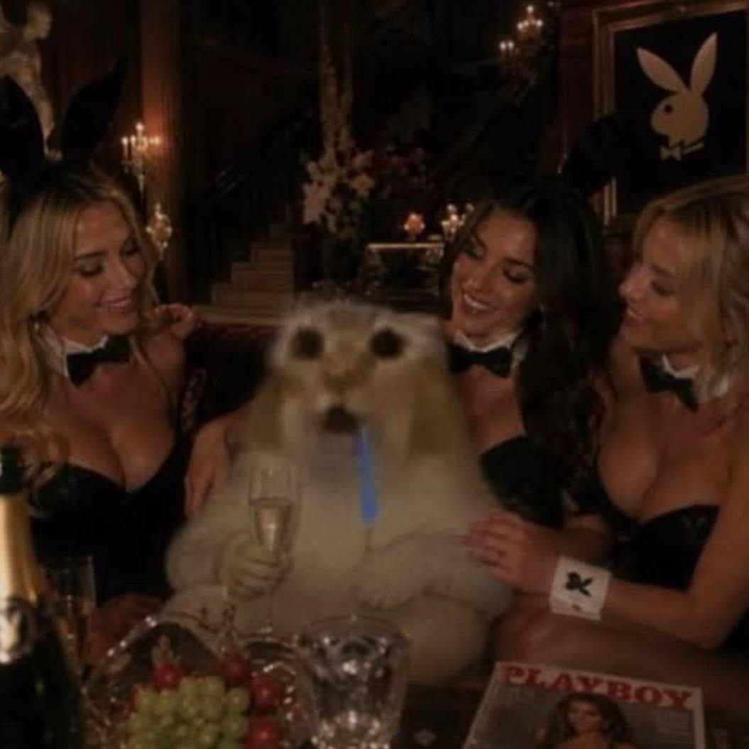 This is an edited comedic meme featuring the popular 'crying sad cat' template placed in a real photograph of a Playboy mansion party. The distressed light-colored cat with large dark eyes, open upset mouth, and blue snot trail is positioned front and center, holding a glass of champagne while sitting on a couch. Three women in classic Playboy bunny costumes (black strapless outfits, black bow ties, bunny ear headbands, and Playboy branded wrist cuffs) are seated on either side of the cat, all smiling warmly at it. The background shows opulent mansion decor including candelabras, a grand staircase, a framed Playboy bunny logo on the wall, a Playboy magazine on the table, a fruit platter, and champagne bottles. The humor comes from the absurd contrast between the high-energy, glamorous positive party environment and the cat's visibly miserable, upset expression, which is relatable to anyone who feels unhappy, anxious, or out of place even when surrounded by fun and favorable circumstances.