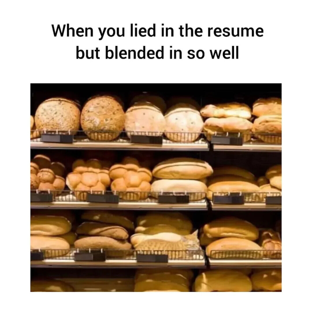 A meme consisting of a top text caption reading 'When you lied in the resume but blended in so well' above a photograph of a bakery shelf stocked with various bread loaves. A cat is camouflaged among the bread, appearing visually similar to the surrounding loaves, creating a pun on the phrase 'blended in'—both fitting into a new environment (workplace) and physically blending with the bread. The humor stems from the relatable scenario of pretending to be qualified (after lying on a resume) and successfully fitting in, mirrored by the cat's seamless camouflage.