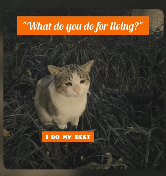 A meme image featuring a real cat with a tired, resigned expression sitting amidst tall, dark green grass. Two orange text boxes are overlaid: the top text reads 'What do you do for living?' (posed as a question), and the bottom text, attributed to the cat, reads 'I DO MY BEST'. The cat's weary demeanor combined with the vague yet relatable response humorously encapsulates the exhaustion and effort of the corporate 9-5 work grind.