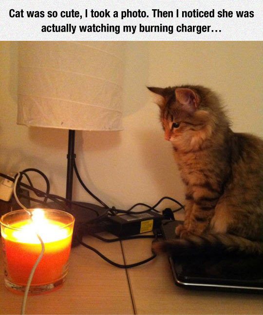 The image depicts a fluffy tabby cat with brown and black stripes sitting on a wooden table. To the cat's left, there is a lit orange candle in a glass holder, emitting a warm glow. Behind the candle, a black table lamp with a white lampshade is visible, along with several tangled electrical wires and a power adapter/charger. The cat appears to be looking downward toward the wires and charger, creating a sense of curiosity or concern. The top of the image features a caption that reads: 'Cat was so cute, I took a photo. Then I noticed she was actually watching my burning charger...', adding a humorous and slightly alarming twist to the initially wholesome scene of the cute cat.