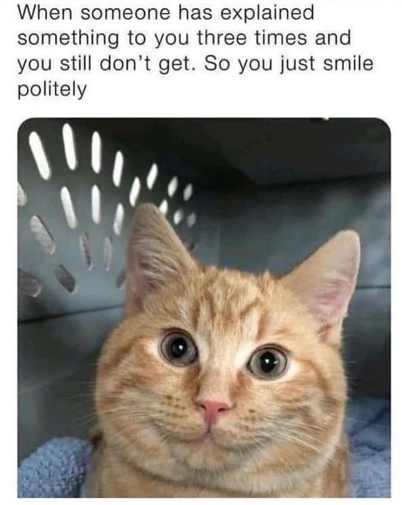 This is a relatable animal meme that pairs text describing a common awkward social situation with a photo of a ginger orange cat whose natural facial expression looks exactly like a stiff, forced polite smile. The text explains the scenario: when someone has explained a concept to you three times and you still do not understand it, you just force a polite smile instead of asking again to avoid embarrassment. The cat's wide eyes and tense mouth perfectly match this awkward social feeling.