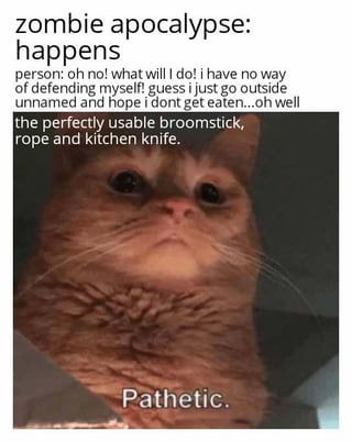 This meme jokes about the common hypothetical scenario where people panic at the start of a zombie apocalypse, complaining that they have no weapons to defend themselves, while completely ignoring common everyday household items (a broomstick, rope, and kitchen knife, all of which can easily be repurposed as weapons). It uses the popular unimpressed, judgmental Pathetic Cat reaction image, with the cat labeling the panicking person's behavior as 'Pathetic', matching the annoyance described in the original title.