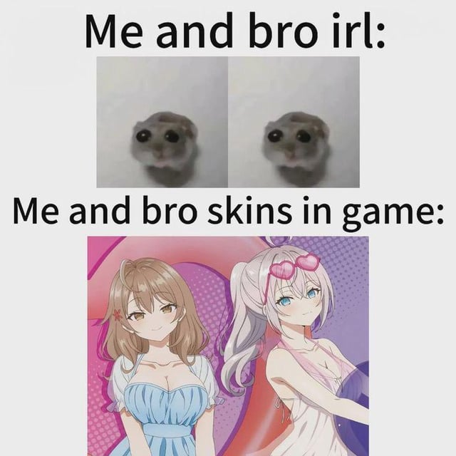 A two-panel comparison meme. The top panel features the text 'Me and bro irl:' above two small, identical hamsters with neutral expressions, implying a plain, mundane real-life appearance. The bottom panel has the text 'Me and bro skins in game:' above two stylized anime girls—one with brown hair in a blue dress and the other with white hair, pink heart-shaped accessories, and a white dress—contrasting the ordinary real-life scenario with the idealized, attractive in-game character skins. The humor stems from the stark difference between the unassuming real-life representation (hamsters) and the flashy, aesthetically pleasing game avatars.