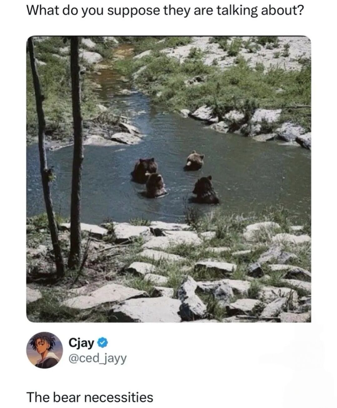 A photograph of four bears wading in a shallow, rocky river surrounded by greenery and trees. Above the image, text poses the question: 'What do you suppose they are talking about?' Below the image, a comment from user Cjay (@ced_jayy) on X.com reads: 'The bear necessities,' which is a pun referencing the phrase 'the bare necessities' (popularized by Disney's *The Jungle Book*), replacing 'bare' with 'bear' to humorously connect to the bears in the scene.