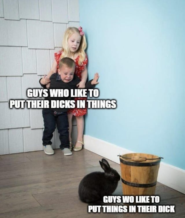 The meme shows two young children trapped in the corner of a room looking terrified: a crying little boy is being held back by a distressed little girl pressed against the wall. In front of them on the floor are a black rabbit and a wooden bucket. Text overlaid on the children reads "GUYS WHO LIKE TO PUT THEIR DICKS IN THINGS", while text over the rabbit and bucket reads "GUYS WO LIKE TO PUT THINGS IN THEIR DICK" (with a typo of "WO" instead of "WHO"). The crude joke frames people who insert foreign objects into their urethra as far more shocking, bizarre, and frightening than people who insert their penis into objects, hence the children's extreme fear reaction to the items representing the latter group.