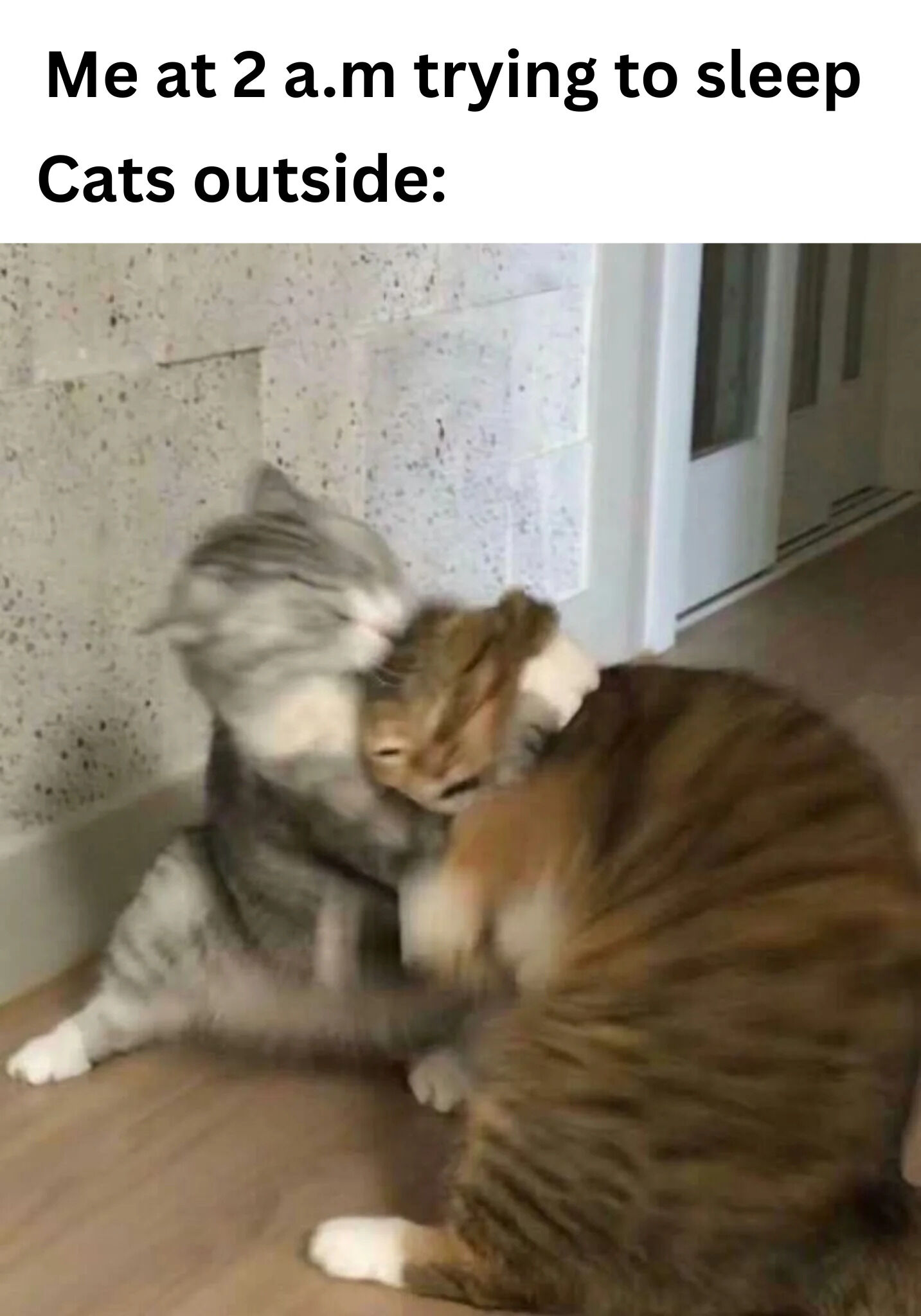 A meme consisting of two parts: top text reading 'Me at 2 a.m trying to sleep' followed by 'Cats outside:', and a lower section featuring a real photograph of two cats (one gray and white, one orange tabby) engaged in what appears to be a playful or noisy fight. The cats are on a wooden floor near a speckled wall and a white door, capturing the scenario of disruptive noise from outdoor cats while someone attempts to sleep.