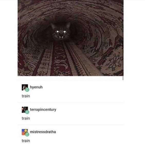 The top portion of the image features a photograph of a dark, patterned rug that has been rolled up to create a tunnel-like visual effect. At the far end of this rolled rug, a black domestic cat sits facing the viewer, its eyes glowing bright white from the low lighting. This creates a strong visual gag that resembles an oncoming train with its headlights on, emerging from a dark tunnel. Below the photograph, three consecutive social media comments are visible, from users hyenuh, terrapincentury, and mistressdratha respectively, each consisting of only the single word 'train' to acknowledge and agree with the visual similarity.