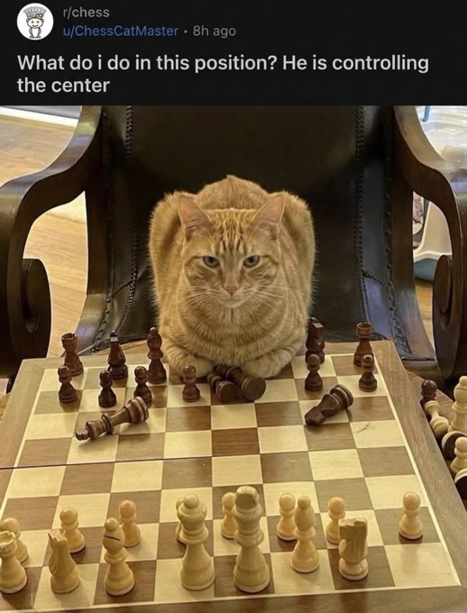 This is a screenshot of a Reddit post from the r/chess subreddit. The post text poses a common chess question: "What do i do in this position? He is controlling the center", referencing the standard chess strategy where dominating the board's central squares is a core competitive advantage. The attached image shows an orange tabby cat physically sitting on the exact center of the chess board, looking directly at the camera with a calm, smug expression. Several dark-colored chess pieces are knocked over around the cat, while the light-colored pieces on the opposing player's side remain fully upright. The meme's humor comes from a literal pun on the chess term "controlling the center": instead of controlling the center with game pieces, the cat has occupied and taken over the central area of the board completely, making standard play impossible.